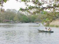 Apr. 24 2001  4:13:32 PM